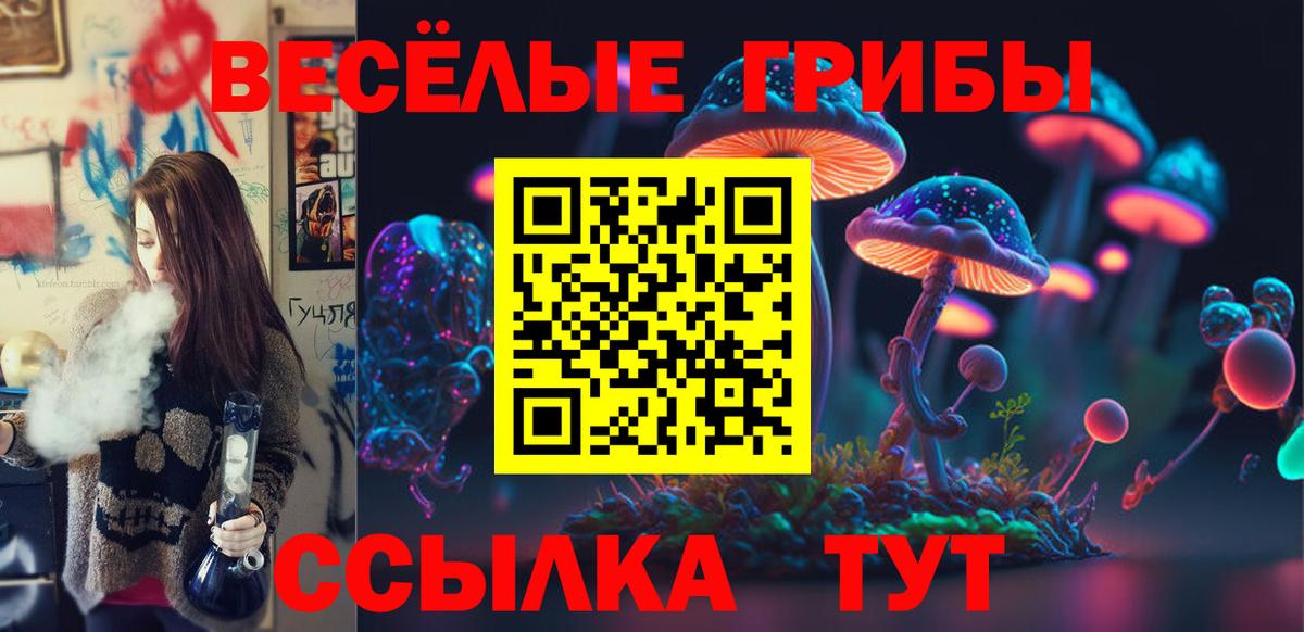 Узловая  Псилоцибиновые грибы Psilocybe  Псилоцибиновые грибы MAGIC MUSHROOMS  Вход с VPN 